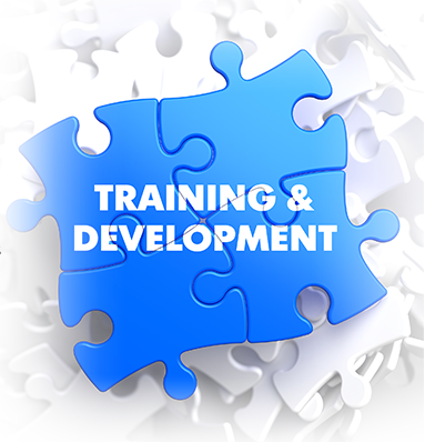 training puzzle pieces